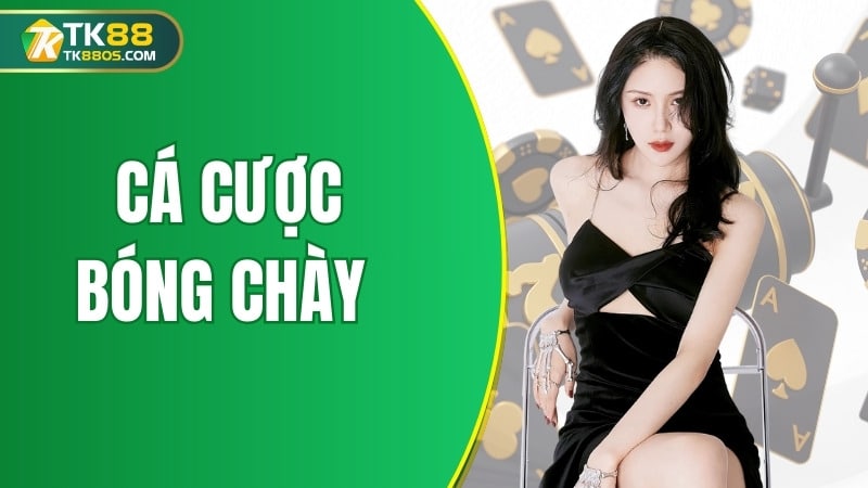 cá cược bóng chày tk88